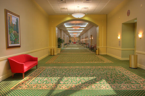 Durham Marriott City Center Екстер'єр фото